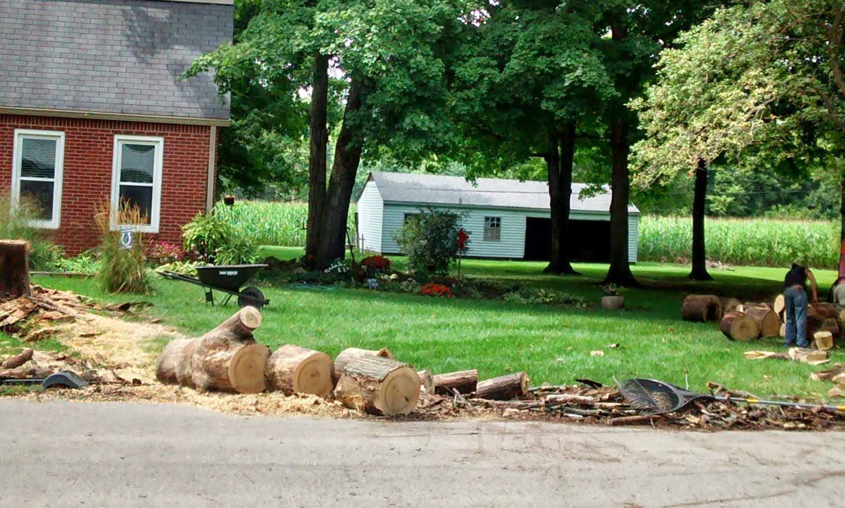 Tree Trimming Services